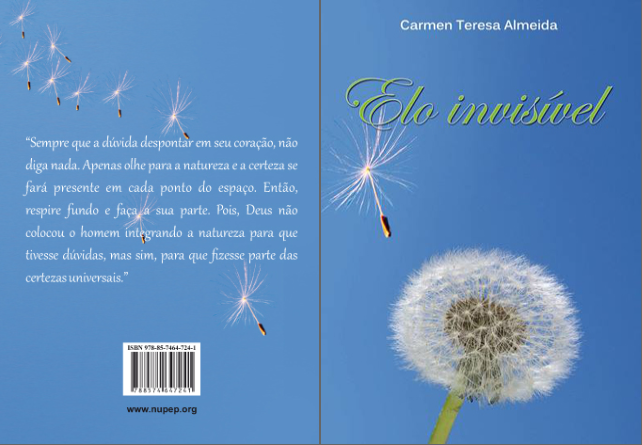 Elo invisível - Carmen Teresa Almeida